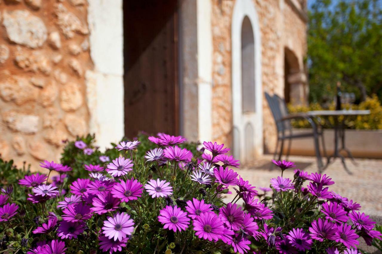 Agroturismo Es Quatre Cantons Бинисалем Экстерьер фото